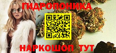 индика Новокубанск
