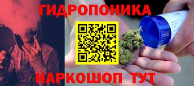 мяу мяу мука Новодвинск