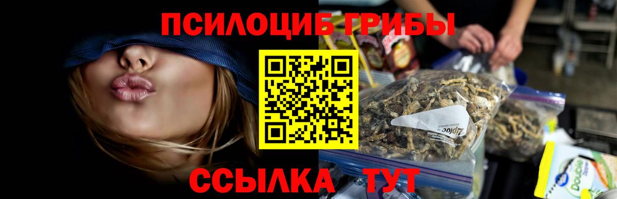 Галлюциногенные грибы Cubensis Рассказово