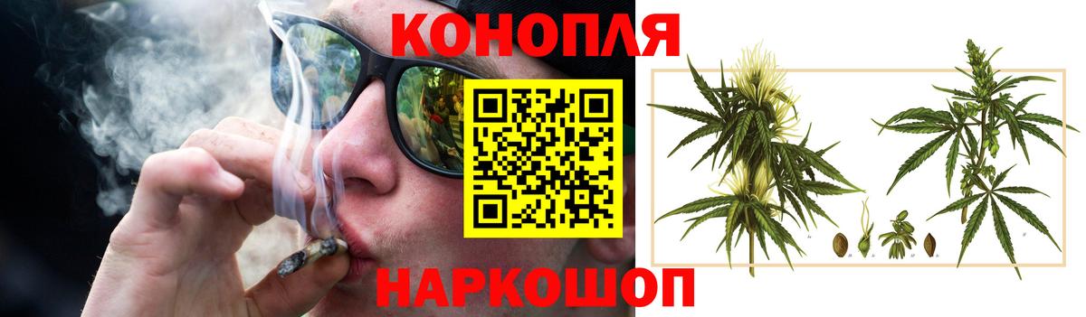 Шишки марихуана план Рассказово